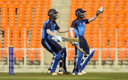 টি-টোয়েন্টিতে সর্বোচ্চ রানের রেকর্ড!