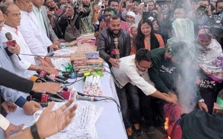 ভারতীয় শাড়ি আগুনে পোড়ালেন রিজভী