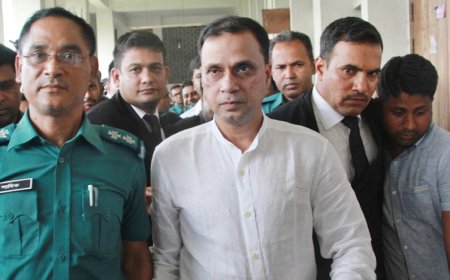 ৭ বছরের দণ্ড থেকে গিয়াস উদ্দিন মামুনকে খালাস দিলেন হাইকোর্ট