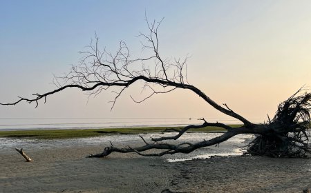 সৌন্দর্যের অনন্য ঠিকানা ‘চর কুকরি মুকরি’