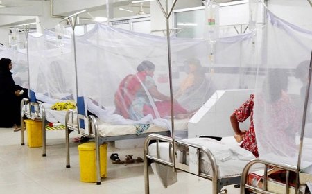 ২৪ ঘণ্টায় ডেঙ্গুতে ৫ জনের মৃত্যু, হাসপাতালে ভর্তি ৫৭০