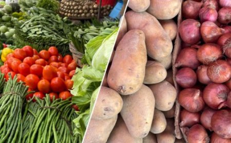 সবজির বাজারে স্বস্তি, চড়া আলুর বাজার