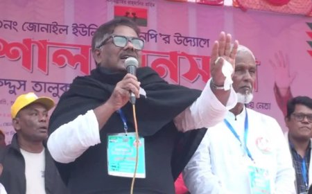 হাসিনাকে আর হজম করতে পারছে না ভারত : বিএনপি নেতা দুলু