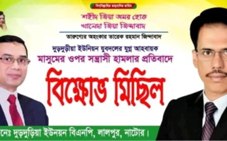 লালপুরে যুবদল নেতার ওপর সন্ত্রাসী হামলার প্রতিবাদে বিক্ষোভ