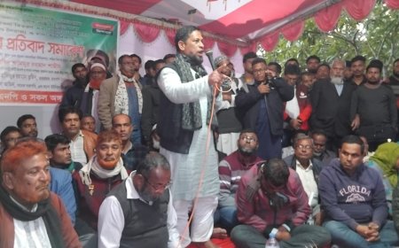 তারেক রহমানের ৩১ দফা ঘরে ঘরে পৌঁছে দিতে হবে : কৃষিবিদ শামীম