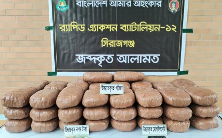 সিরাজগঞ্জে ১০৫ কেজি গাঁজাসহ মাদককারবারী আটক