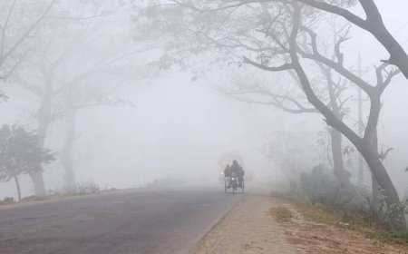 সারাদেশে মৃদু শৈত্যপ্রবাহ, তাপমাত্রা নামতে পারে ৪ ডিগ্রিতে