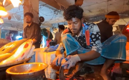 কিশোরগঞ্জে মাছ কেটে স্বাবলম্বী ৫০ পরিবার