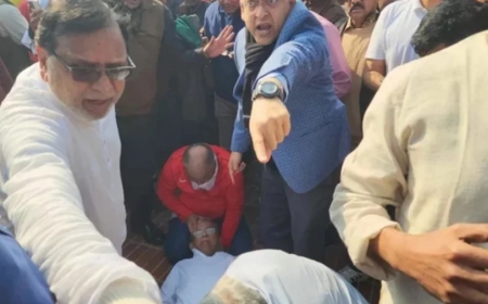 স্মৃতিসৌধে শ্রদ্ধা জানাতে গিয়ে হঠাৎ মাটিতে ঢলে পড়লেন মির্জা ফখরুল
