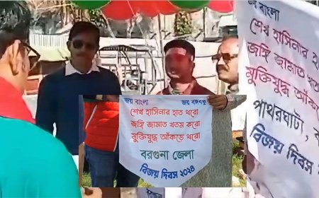 বরগুনায় হাসিনাকে ফেরাতে গোপন শপথ, ভিডিও ভাইরাল