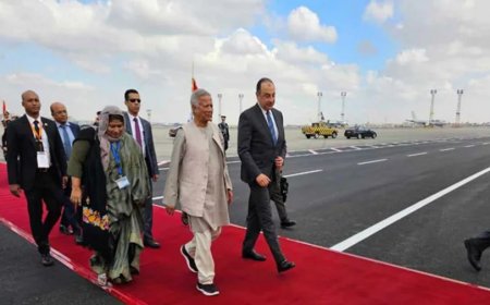 মিসরে পৌঁছেছেন প্রধান উপদেষ্টা