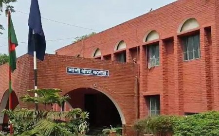 শার্শা সীমান্ত থেকে দুই বাংলাদেশির মরদেহ উদ্ধার, মাথায় জখমের চিহ্ন