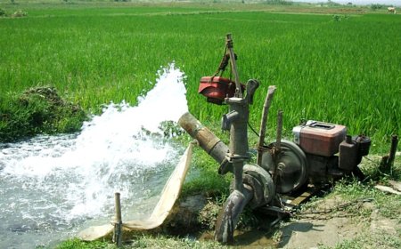নাটোরে এক রাতেই ১৩টি সেচ মেশিন চুরি, ক্ষতির মুখে কৃষকরা