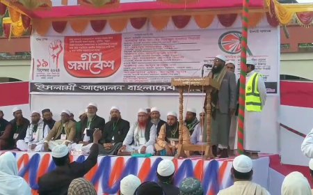 ইসলামী আন্দোলন বাংলাদেশ নলছিটি পৌর শাখার গণ সমাবেশ অনুষ্ঠিত
