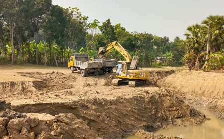 নগরকান্দায় ফসলি জমির মাটি যাচ্ছে ইটভাটায়!