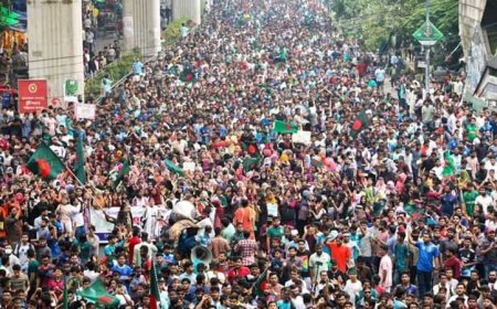 জুলাই গণঅভ্যুত্থানে শহিদ ও আহতদের প্রাথমিক তালিকা প্রকাশ