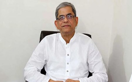 সংস্কারের রূপরেখা বহু আগেই দিয়েছিল বিএনপি : মির্জা ফখরুল