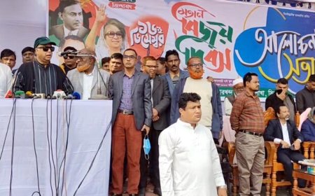 শেখ হাসিনা আইন বিচার ও পুলিশ সব সেক্টর ধ্বংস করেছে : টুকু