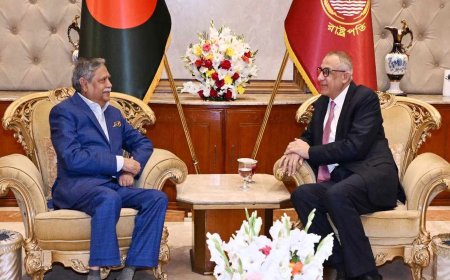 রাষ্ট্রপতির সঙ্গে ফিলিস্তিনের রাষ্ট্রদূতের সাক্ষাৎ