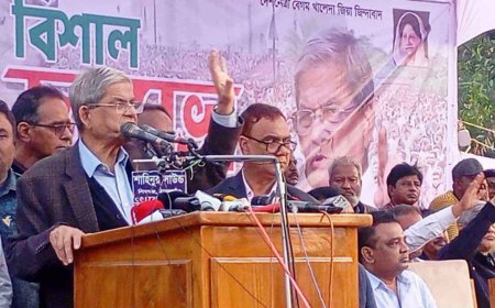 কেউ যেন দেশকে বিভক্ত করতে না পারে, ঐক্যবদ্ধ থাকতে হবে : মির্জা ফখরুল