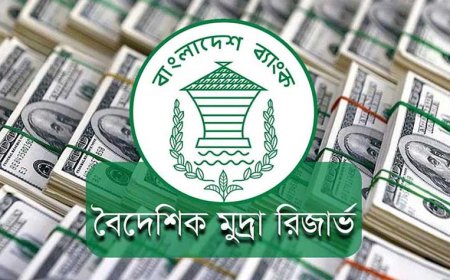 বৈদেশিক মুদ্রার রিজার্ভ ছাড়াল ২০ বিলিয়ন ডলার