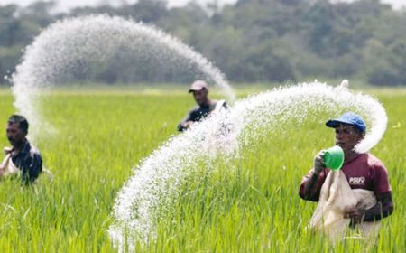 ৬৩৪ কোটি টাকায় ১ লাখ ৩০ হাজার টন সার কিনবে সরকার