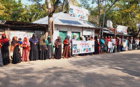 রাজাপুরে বসতঘরে হামলা ভাঙচুর ও লুটপাট, গ্রেপ্তারের দাবিতে মানববন্ধন