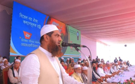 বিএনপি-জামায়াতকে কঠোর হুঁশিয়ারি দিলেন মামুনুল হক