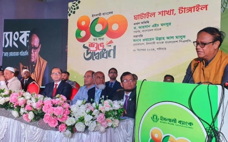 দেশে রিজার্ভের পরিমাণ নিয়ে যা বললেন গভর্নর