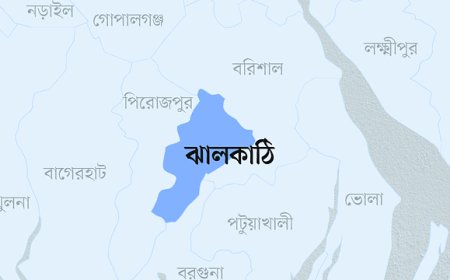 ঝালকাঠির নলছিটিতে বিশ্ববিদ্যালয়ের শিক্ষক নিহত