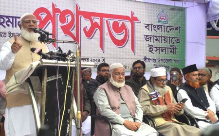 বিগত সরকার দেশের সম্পদ বাইরে পাচার করেছে : জামায়াত আমির