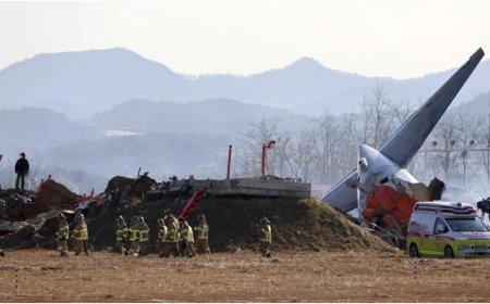 দক্ষিণ কোরিয়ায় বিমান বিধ্বস্ত, নিহত বেড়ে ১৭৪