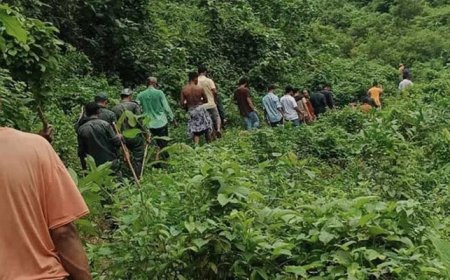 টেকনাফ পাহাড়ি এলাকা থেকে ১৯ বনকর্মীকে অপহরণ
