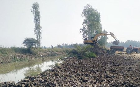 খালের বাঁধ কেটে যুবদল নেতার মাটি বিক্রির ব্যবসা