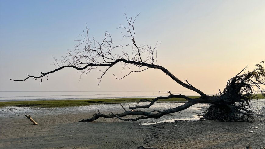 সৌন্দর্যের অনন্য ঠিকানা ‘চর কুকরি মুকরি’