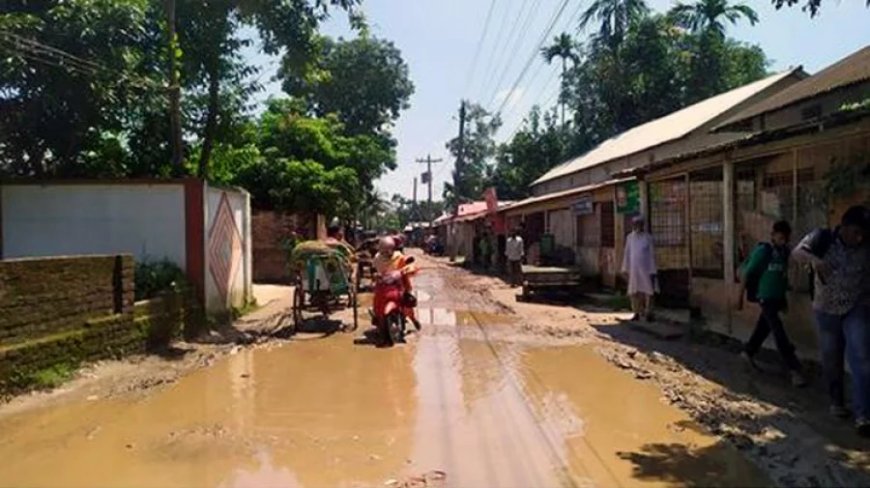 মোহনগঞ্জ পৌরসভার অধিকাংশ রাস্তার বেহাল দশা, চরম দুর্ভোগে পৌরবাসী