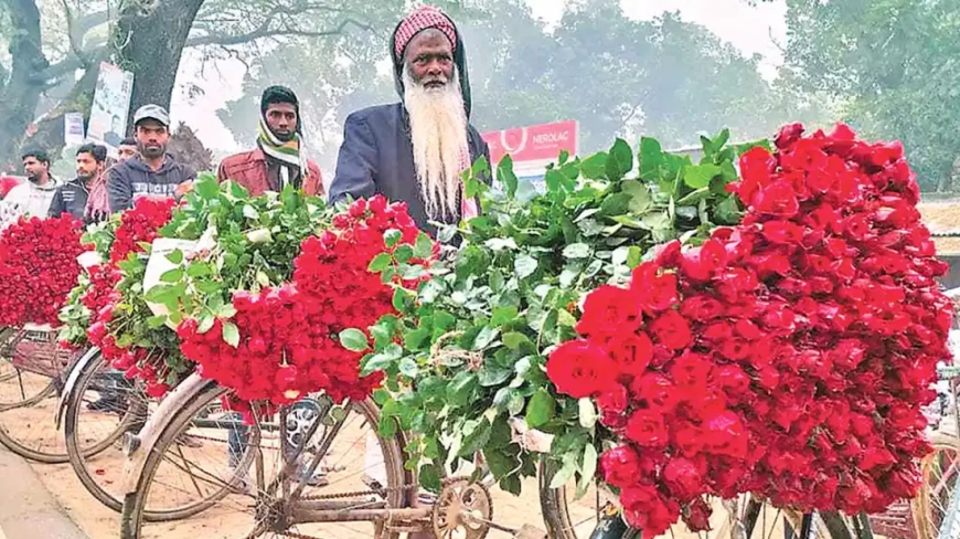 যশোরের গদখালীতে শত কোটি টাকার ফুলের রাজ্য