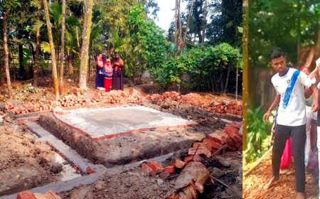 ঝালকাঠিতে স্কুল শিক্ষককের জমি দখল, গাছ কেটে নেয়ার অভিযোগ