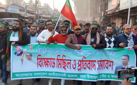 বাঘায় আ.লীগ নিষিদ্ধ ও ফ্যাসিস্ট দোসরদের বিচার দাবিতে ছাত্রদলের বিক্ষোভ
