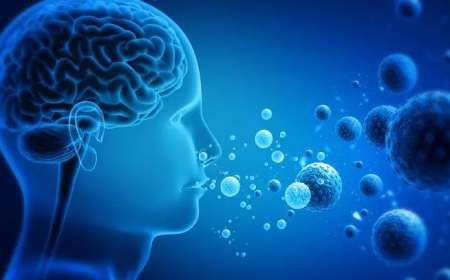 এইচএমপিভি ভাইরাস নিয়ে আতঙ্কিত হওয়ার কিছু নেই : আইইডিসিআর