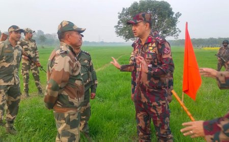 সীমান্তে হঠাৎ বিএসএফের কাঁটাতারের বেড়া নির্মাণচেষ্টা, বিজিবির বাধায় বন্ধ