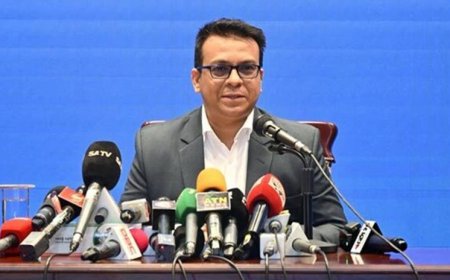 শেখ হাসিনাকে ফেরানোর চিঠির কথা স্বীকার করেছে ভারত : রফিকুল আলম