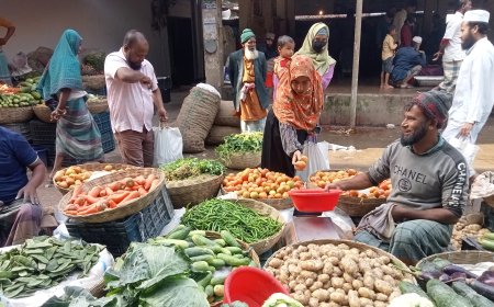 শীতকালীন সবজির দাম কমাতে জনমনে স্বস্তি