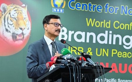 ‘শিগগিরই রোডম্যাপ, দ্রুত নির্বাচিত সরকারের কাছে ক্ষমতা হস্তান্তর’