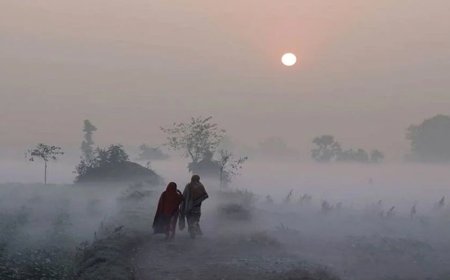 ১০ জেলায় বইছে শৈত্যপ্রবাহ