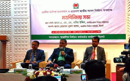 আগামী নির্বাচনে ভোট দিতে পারবেন প্রবাসীরা : সিইসি