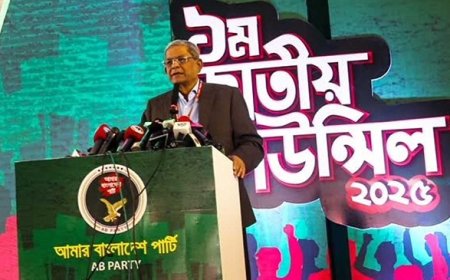 কিছু মানুষ ঐক্যে ফাটল ধরানোর চেষ্টা করছে : মির্জা ফখরুল