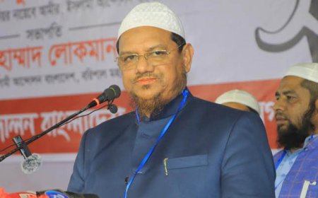 ভারত কোনোদিনই আমাদের বন্ধু ছিল না : চরমোনাই পীর