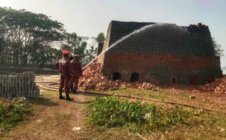 ঝালকাঠিতে অবৈধ ইট পাঁজার ইট ধ্বংস, ৩ লাখ টাকা জরিমানা