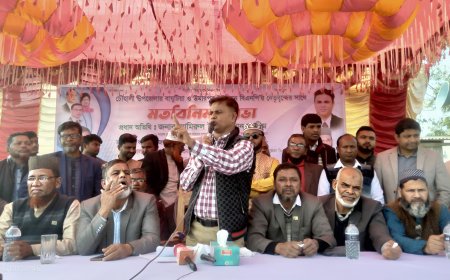 আমরা মানুষের ভোট কেরে নেবো না : বিএনপি নেতা আলিম